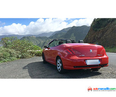 Peugeot 307 2006