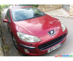 Peugeot 407 2004