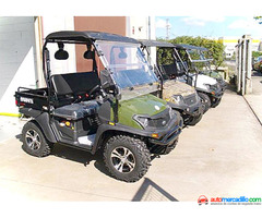 Winway Electrico 2019