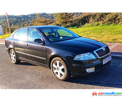 Skoda Octavia 1.9 Tdi 105 Cv 1.9 Tdi 2008