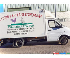 Mercedes Esprinter 413 Cdi Para 3500 Kg Cdi 2003