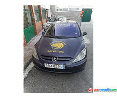 Peugeot Peugeot 307 2004