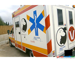 Volkswagen T5 2.5 Tdi Ex Ambulancia Tdi 2006