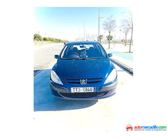 Peugeot 307 2004