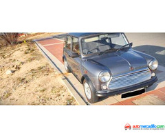 Mini Mini Rover 1990