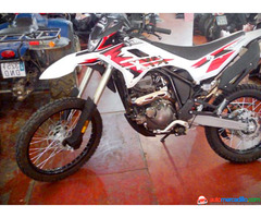 Motor Ryx   2021