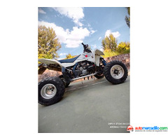 Suzuki Ltr 450   2010
