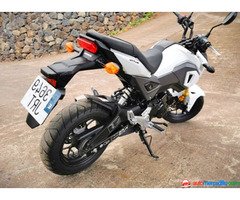 Honda Msx Sf   2016