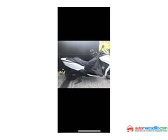 Honda Forza 300   2006
