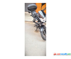 Honda Cbf125   2013