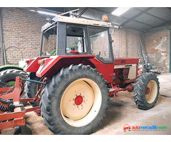 Magni Inter Español 955