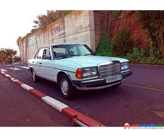 Mercedes W123 300 1981